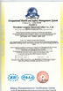 Porcellana Wenzhou Longsun Electrical Alloy Co.,Ltd Certificazioni